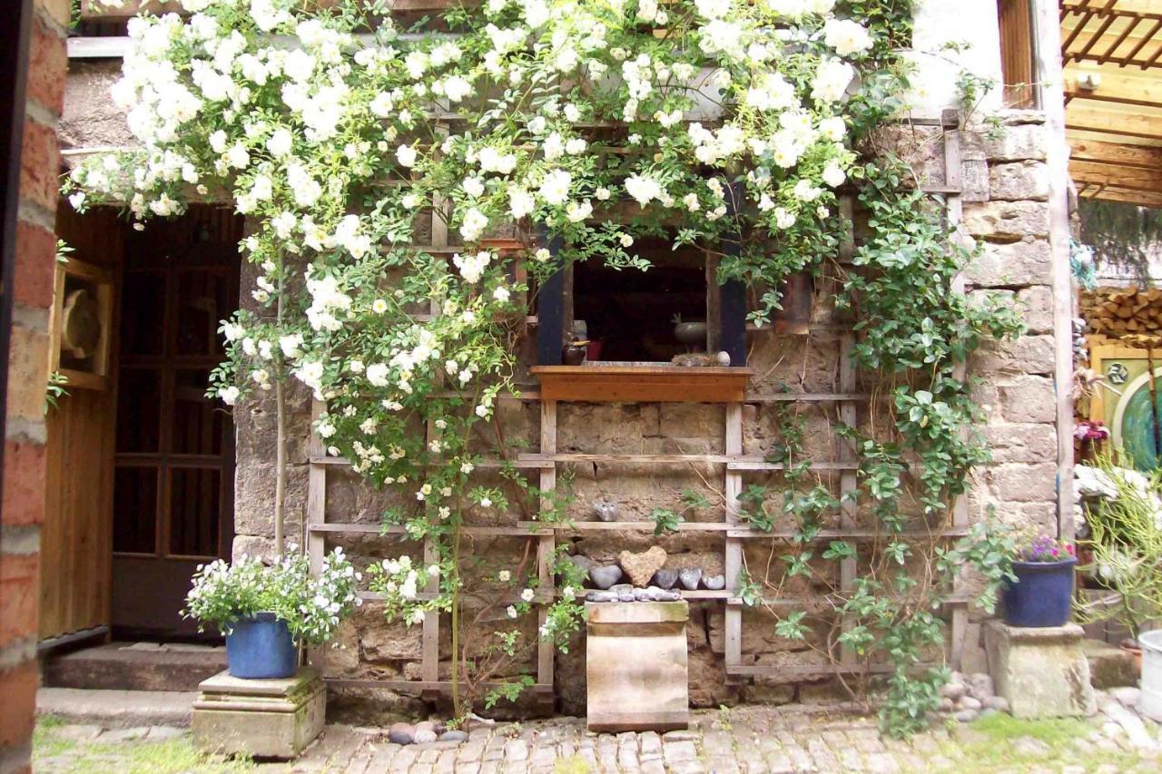 ワイマールAbh Am Blauen Hofアパートメント エクステリア 写真